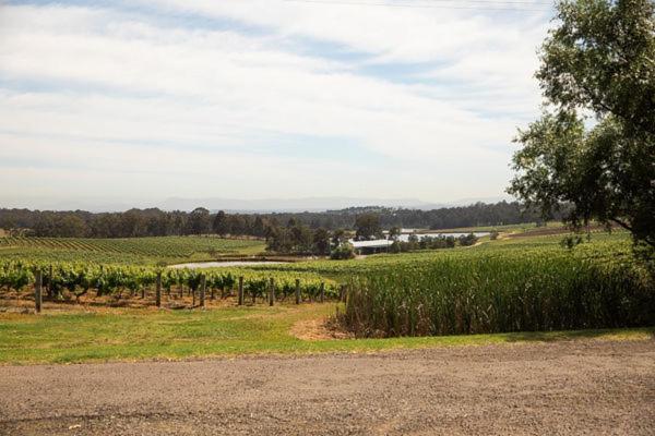 Audrey Wilkinson Vineyard Guest House Pokolbin Exterior photo