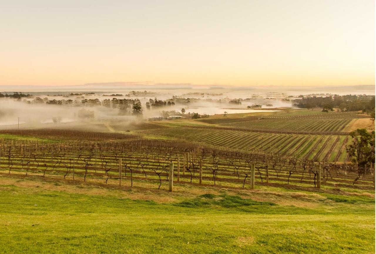 Audrey Wilkinson Vineyard Guest House Pokolbin Exterior photo